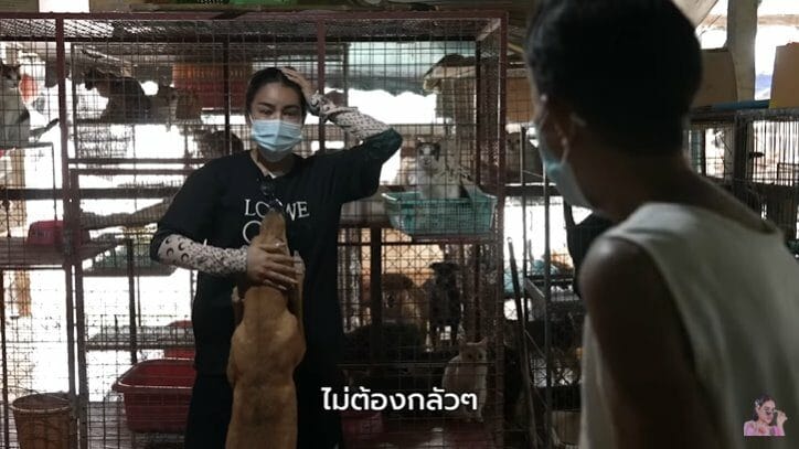 ‘พิมรี่พาย’ ช่วยยายกับสุนัข-แมวจรจัด